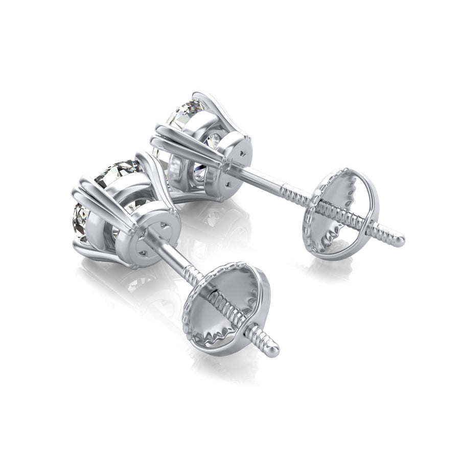 Double Wire Stud Earrings